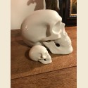 Crâne en porcelaine blanche