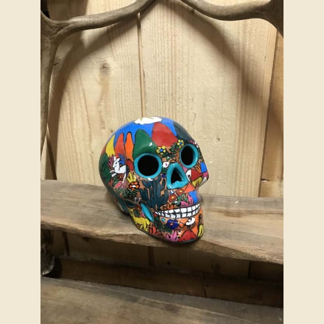 Crâne mexicain multicolore